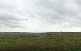 	53:11:1900103:30 Новгородская область, Новгородский район, с/п Трубичинское