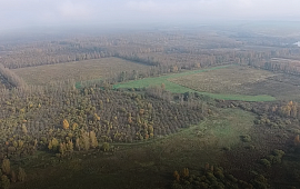 	53:11:1900403:507 Новгородская обл, р-н Новгородский, Трубичинское сельское поселение, земельный...