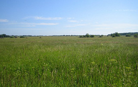 Земельный участок 53:11:2400102:7    Великий Новгород,с/п Чечулинское