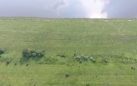 	53:11:0900106:687 Новгородская область, р-н Новгородский, с/п Ракомское